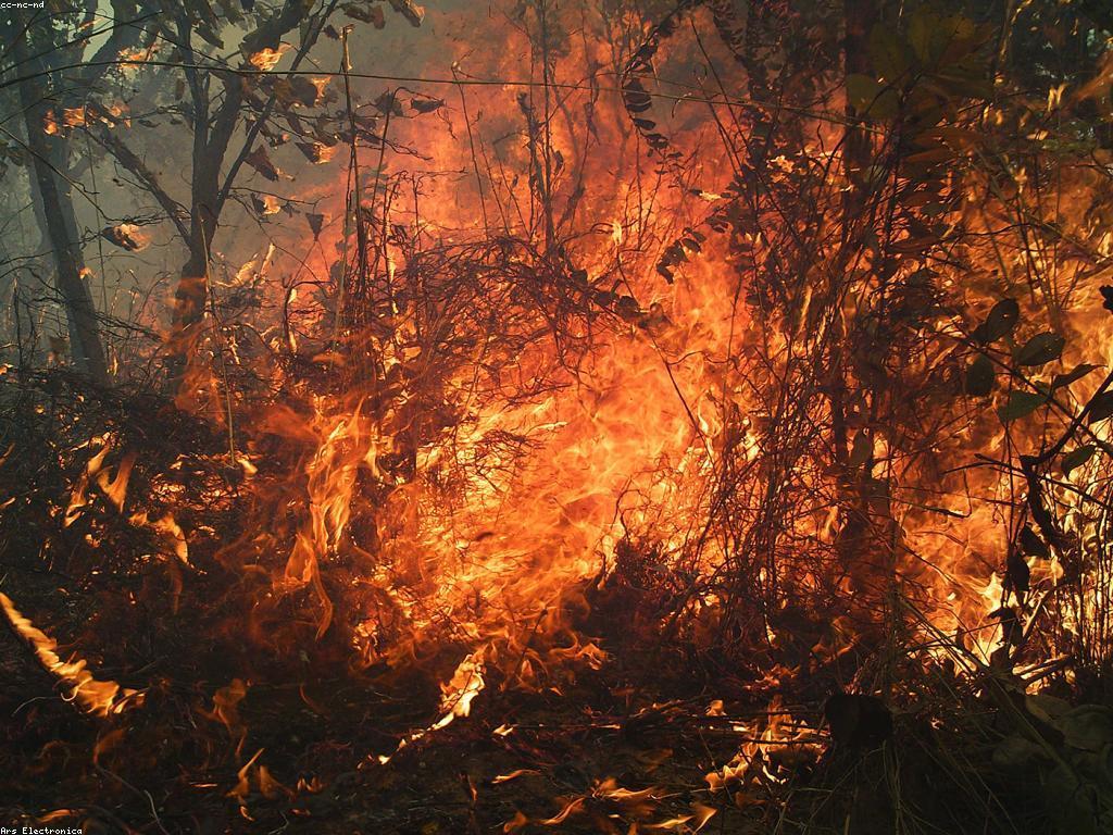 បច្ចេកវិទ្យាថ្មីៗ និងអនាគតរបស់វា