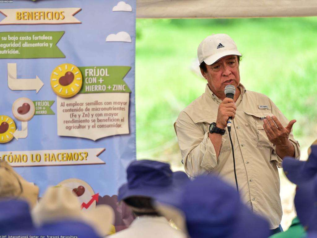 ការទំនាក់ទំនងនិងគាំទ្រនៅក្នុងការលេងស្លុត