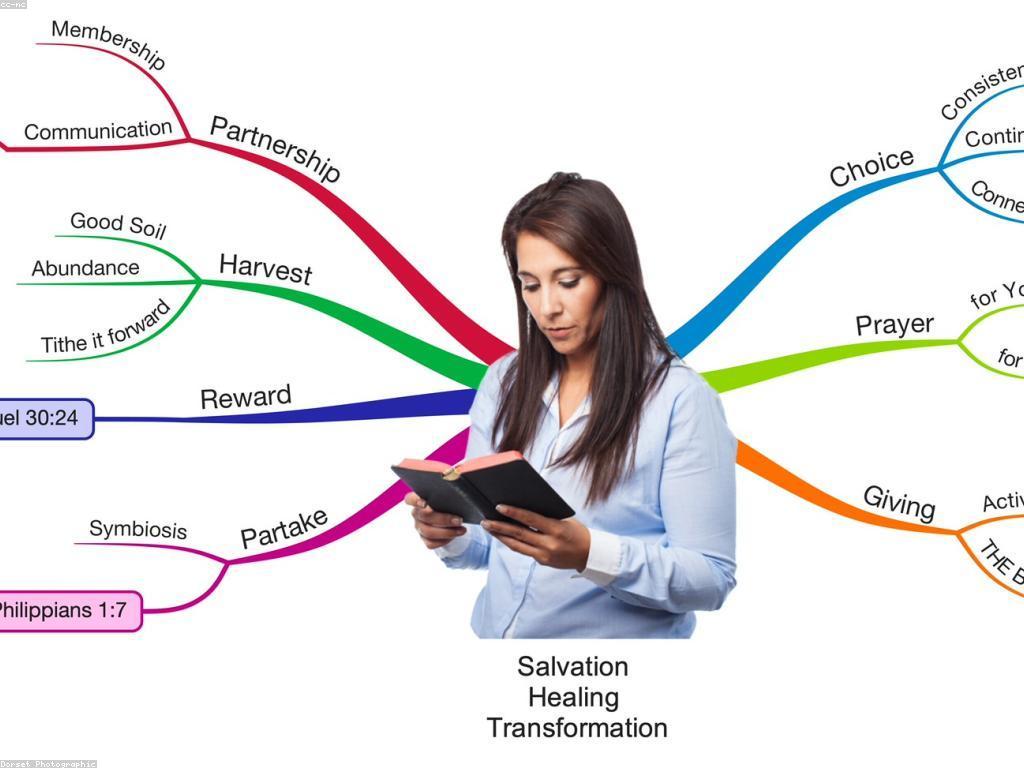 ប្រាក់រង្វាន់សម្រាប់អ្នកប្រើប្រាស់: តើមានអត្ថប្រយោជន៍អ្វីខ្លះ?